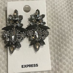 Express Earring